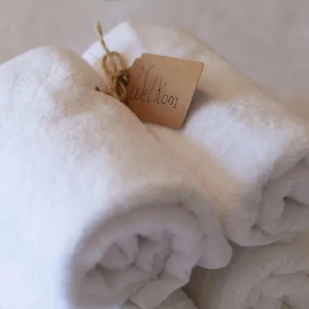 Pensionat De Oude Pastorie 3*