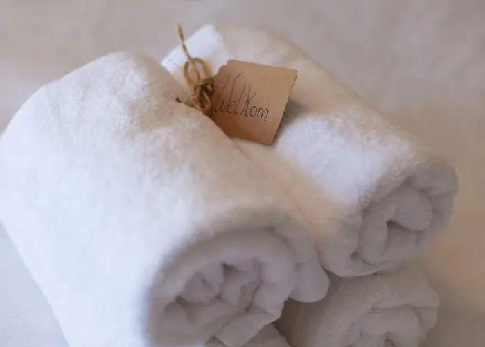 Πανσιόν De Oude Pastorie 3*